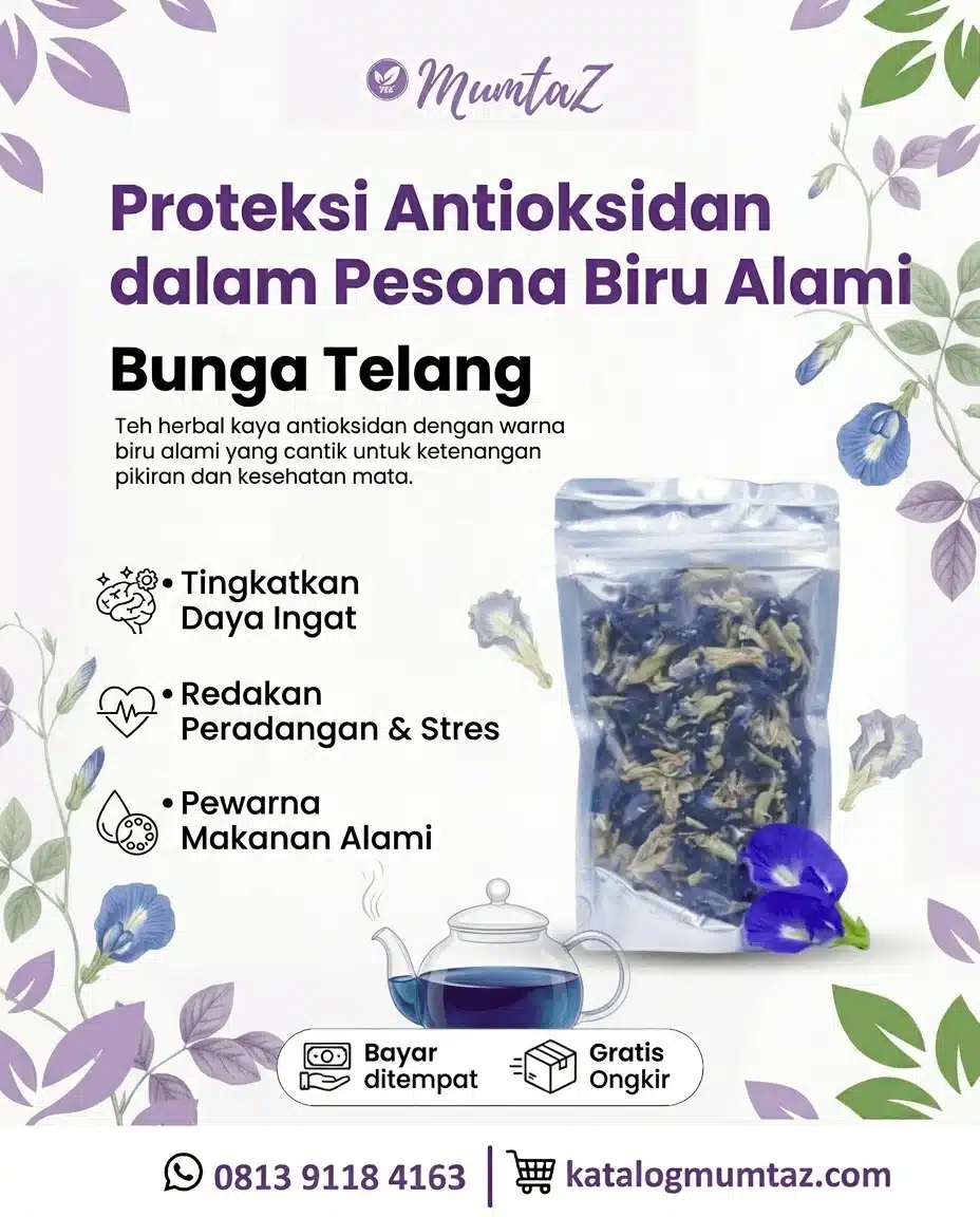 Bunga Telang - Gambar 2