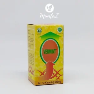 Vermint Kecil